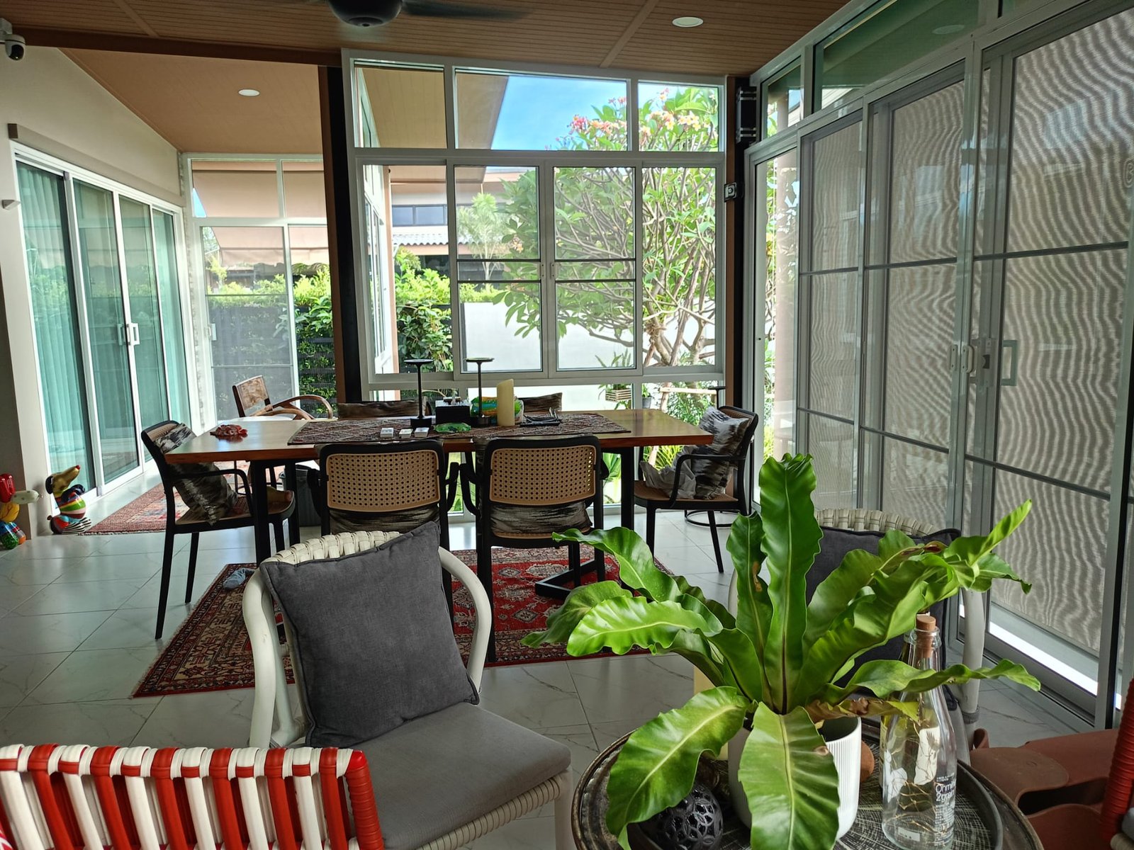 WhatsApp Image 2026-01-29 at 19.08.51